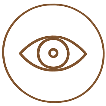 icon_eye